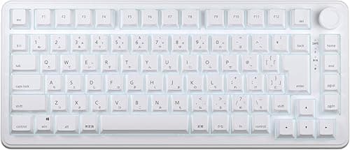 AIM1 瞬 ゲーミングキーボード 日本語配列 キーボード ゲーミング 75%サイズ ポーリングレート8000Hz対応 ラピッドトリガー 0.01mm MATATAKI